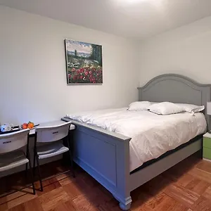 Airnest Canada